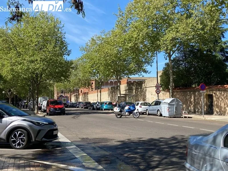 Efectos de este siniestro en la avenida de San Agustín. Foto de Vanesa Martins