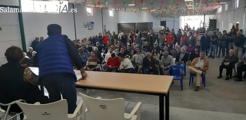 Asistentes a la reunión celebrada en Espeja y encinas podadas con el sistema que quieren algunos agentes forestales