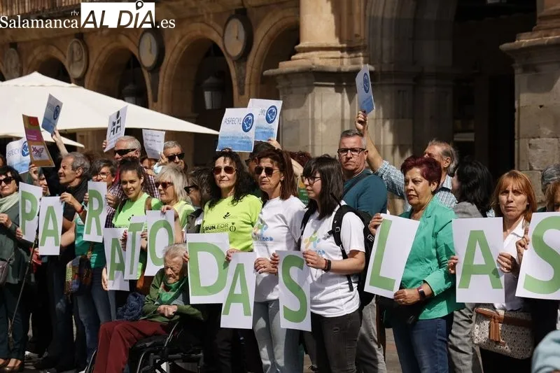Acto en la Plaza Mayor con motivo del Día Mundial de la Salud. Foto de David Sañudo