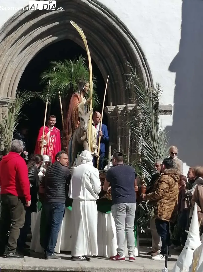 Foto 11 - Ramos y palmas para abrir la Semana Santa bejarana