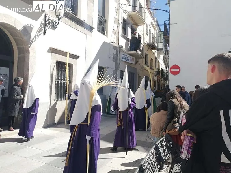Foto 5 - Ramos y palmas para abrir la Semana Santa bejarana