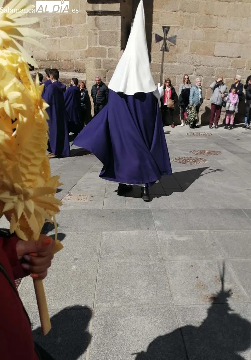 Foto 9 - Ramos y palmas para abrir la Semana Santa bejarana