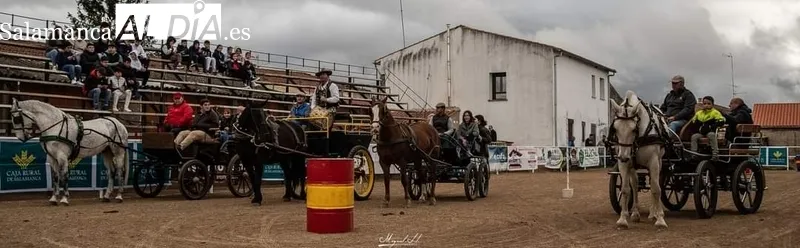 Exhibición de calesas en el recinto ferial / FOTOS: MIGUEL HERNÁNDEZ CORRAL