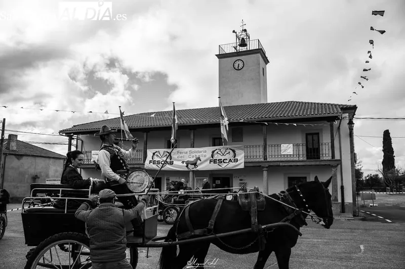 Exhibición de calesas en el recinto ferial / FOTOS: MIGUEL HERNÁNDEZ CORRAL