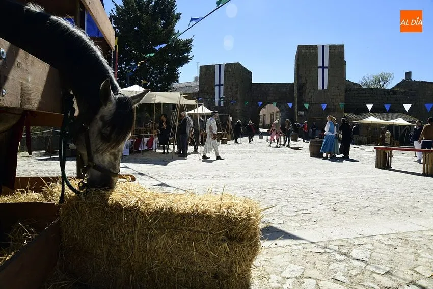 Foto 15 - Cientos de personas de los dos lados de la Raya disfrutan de la Feria Medieval de Castelo Mendo