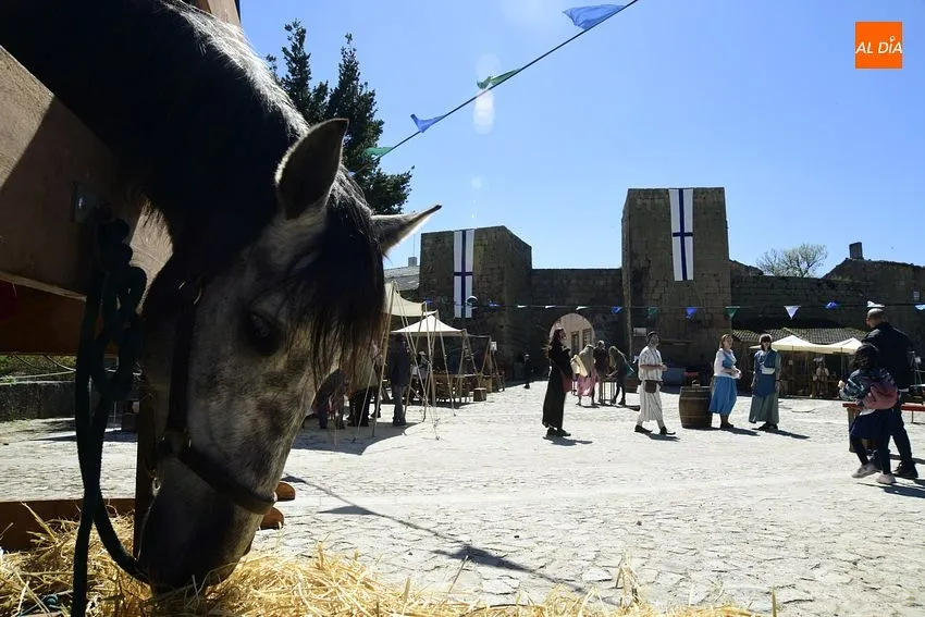 Foto 16 - Cientos de personas de los dos lados de la Raya disfrutan de la Feria Medieval de Castelo Mendo