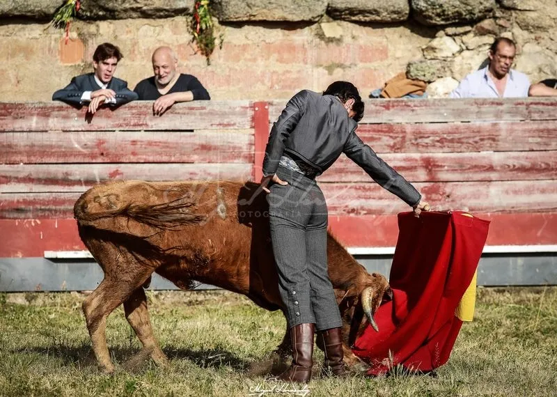 Festejo taurino en Buenamadre. Foto de Miguel Hernández