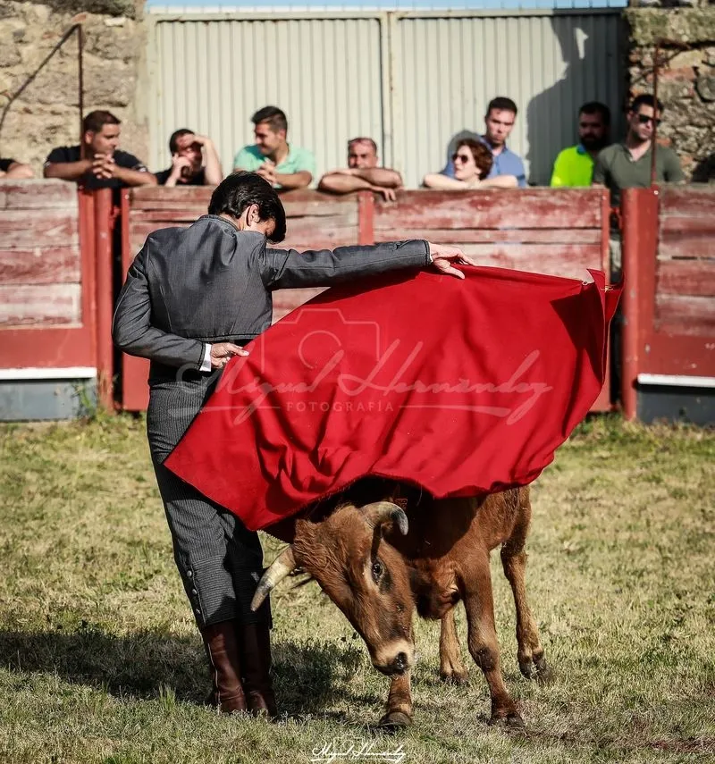 Festejo taurino en Buenamadre. Foto de Miguel Hernández