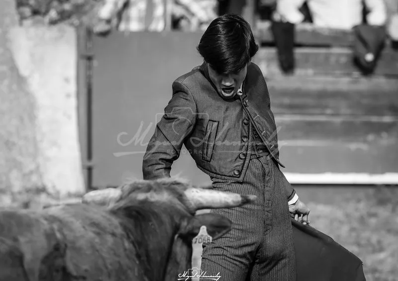 Festejo taurino en Buenamadre. Foto de Miguel Hernández
