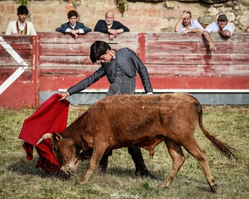 Festejo taurino en Buenamadre. Foto de Miguel Hernández