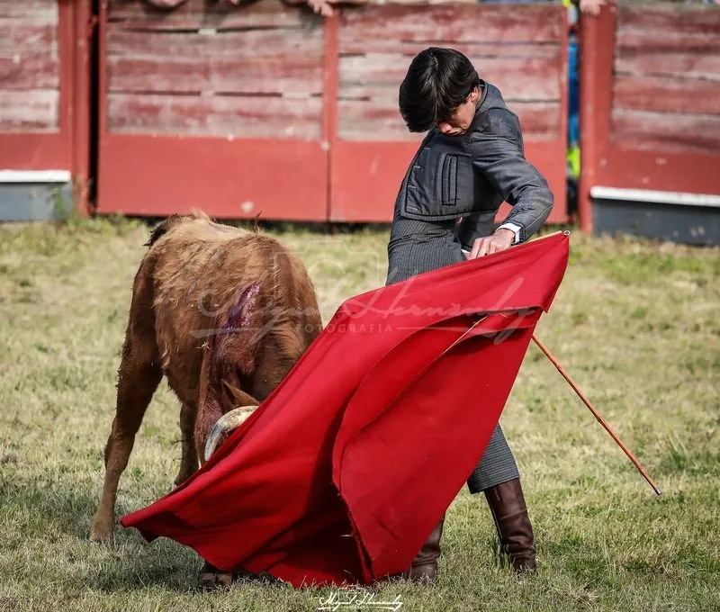 Festejo taurino en Buenamadre. Foto de Miguel Hernández