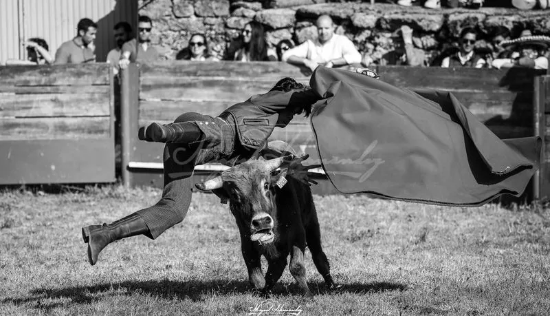 Festejo taurino en Buenamadre. Foto de Miguel Hernández