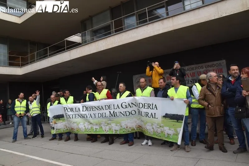 Concentración y protestas de ganaderos frente a la Delegación de la Junta | FOTOS: Vanesa Martins 