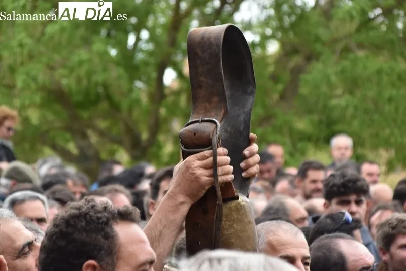 Concentración y protestas de ganaderos frente a la Delegación de la Junta | FOTOS: Vanesa Martins 