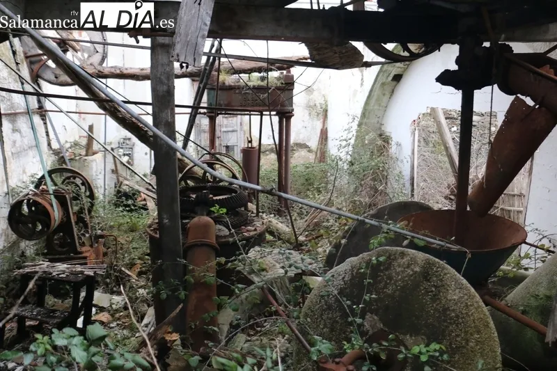 Elementos del Molino de Arriba que crearán el Museo de la Almazara  