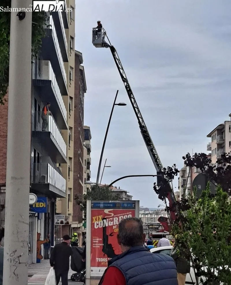 Intervención de los Bomberos, este viernes, en el paseo de Canalejas