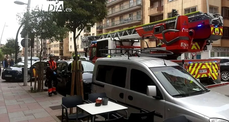 Intervención de los Bomberos, este viernes, en el paseo de Canalejas