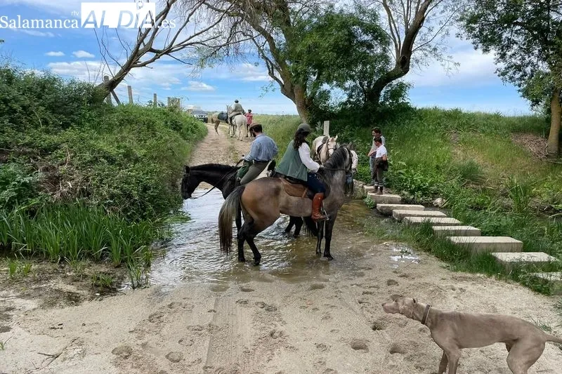 Foto 5 - La ruta De la Cuna al Sepulcro, tambi&eacute;n a caballo