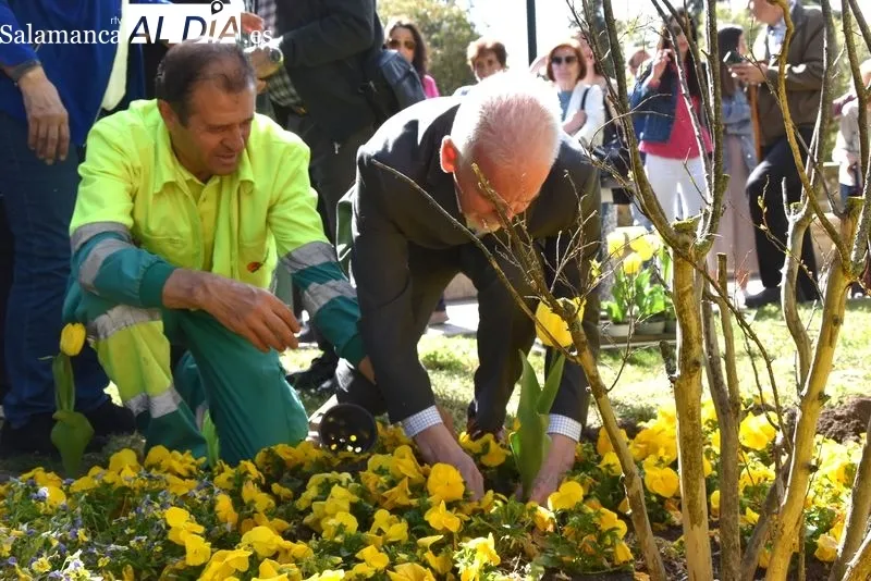 Plantación tulipanes Día del Parkinson | FOTOS: Vanesa Martins 