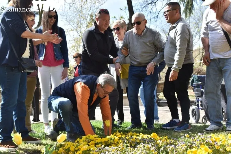 Plantación tulipanes Día del Parkinson | FOTOS: Vanesa Martins 