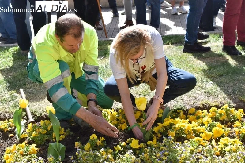 Plantación tulipanes Día del Parkinson | FOTOS: Vanesa Martins 