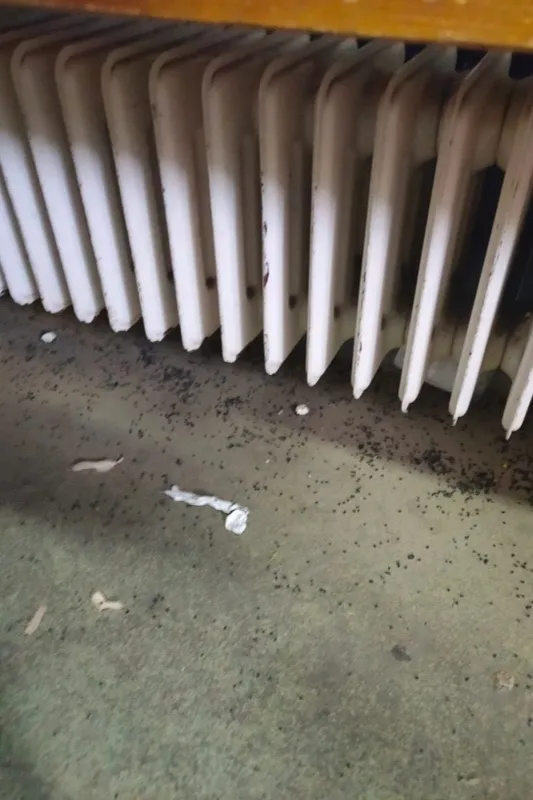 Imágenes recibidas sobre la posible situación de la zona de aseo del estadio El Tori en Salamanca