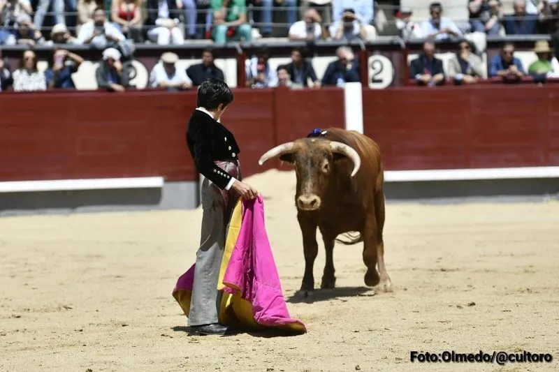 Foto 10 - Triunfo rotundo de Marco P&eacute;rez: 4 orejas y el respeto de Madrid