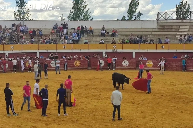 Macotera celebraba este sábado una Capea Popular