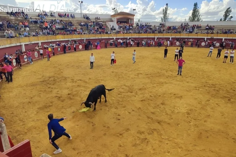 Macotera celebraba este sábado una Capea Popular