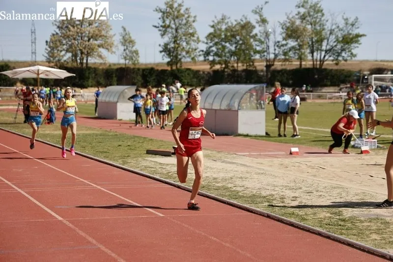 Galería de imágenes la final provincial de atletismo en los Juegos Escolares / Fotos: David Sañudo