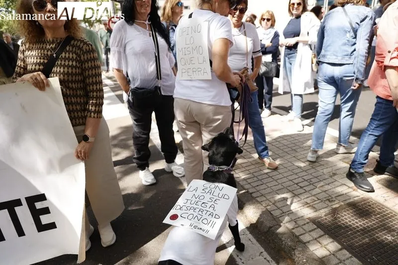 Foto 4 - La 'Marea Blanca' vuelve a pisar las calles para reivindicarse