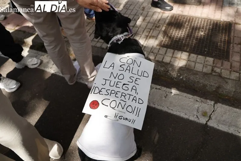 Foto 6 - La 'Marea Blanca' vuelve a pisar las calles para reivindicarse