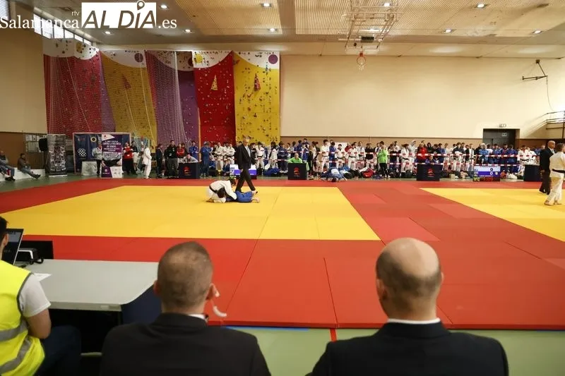 Galería de imágenes del Campeonato de España Universitario de Judo / Fotos: David Sañudo