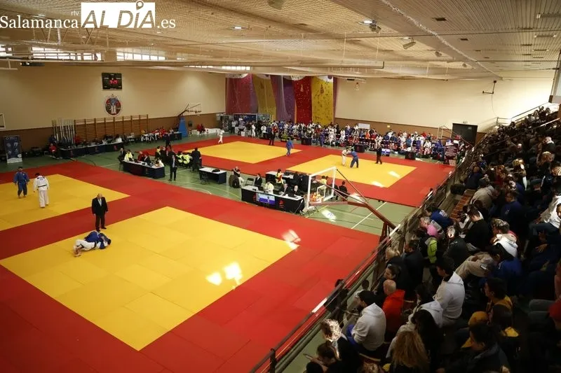 Galería de imágenes del Campeonato de España Universitario de Judo / Fotos: David Sañudo
