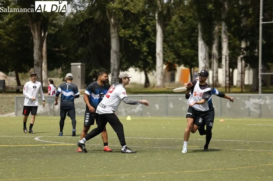 Galería de imágenes del torneo / Fotos: David Sañudo