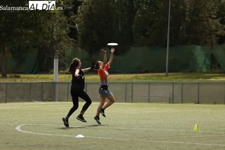Galería de imágenes del torneo / Fotos: David Sañudo