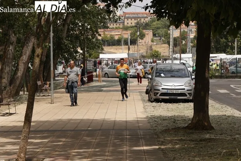 Foto 41 - Buen ambiente en el rastro y la ribera del Tormes 