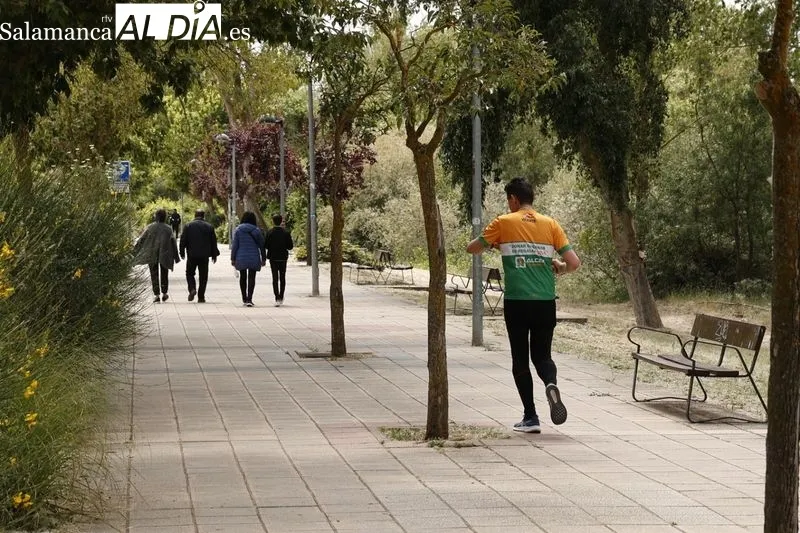 Foto 42 - Buen ambiente en el rastro y la ribera del Tormes 