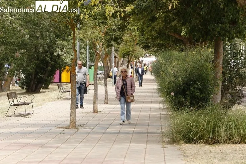 Foto 44 - Buen ambiente en el rastro y la ribera del Tormes 
