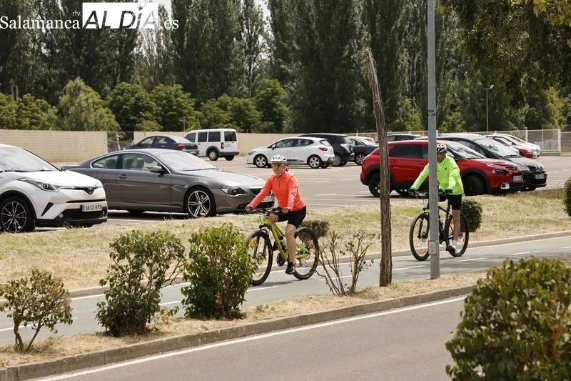 Foto 45 - Buen ambiente en el rastro y la ribera del Tormes 