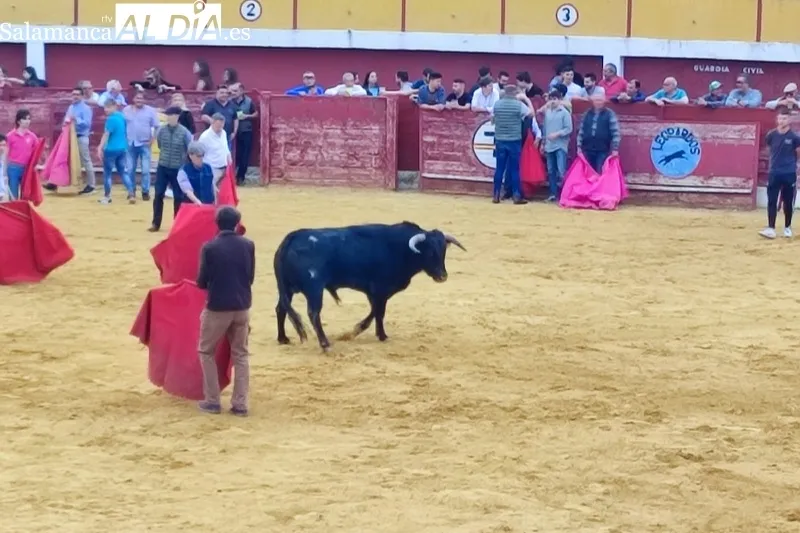 Macotera celebraba este sábado una Capea Popular