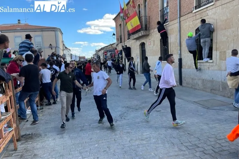 Cantalpino vivía este sábado el Toro de San Isidro