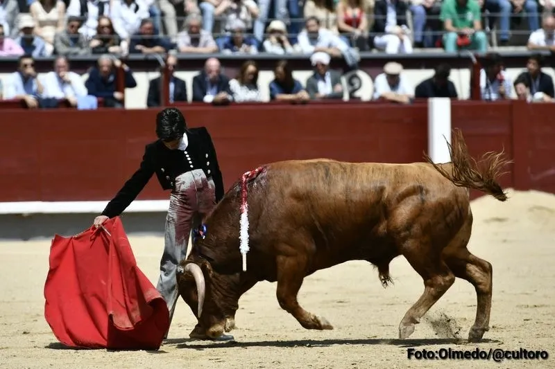 Foto 9 - Triunfo rotundo de Marco P&eacute;rez: 4 orejas y el respeto de Madrid