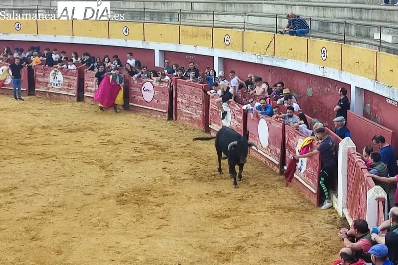 Macotera celebraba este sábado una Capea Popular