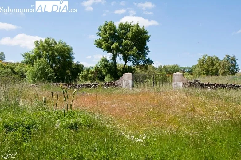 Foto 3 - Monle&oacute;n, uno de los pueblos m&aacute;s antiguos y de mayor resonancia hist&oacute;rica de Salamanca