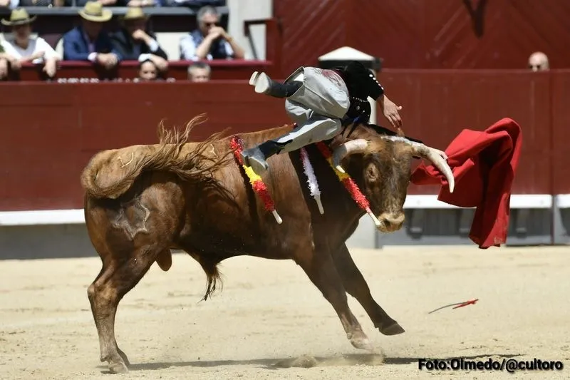 Foto 8 - Triunfo rotundo de Marco P&eacute;rez: 4 orejas y el respeto de Madrid