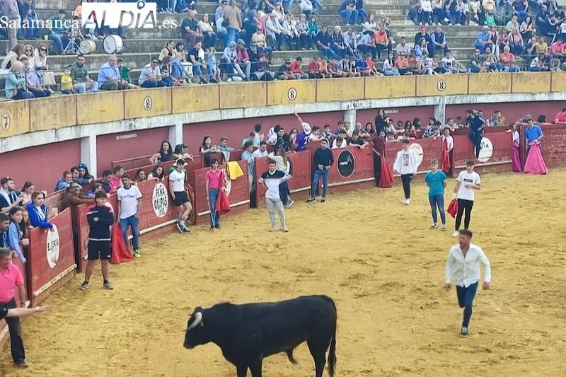Macotera celebraba este sábado una Capea Popular