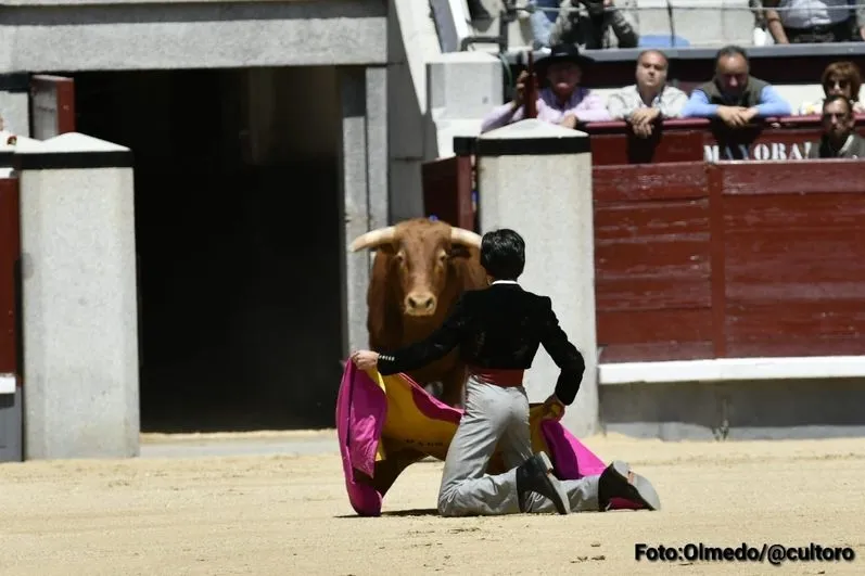 Foto 6 - Triunfo rotundo de Marco P&eacute;rez: 4 orejas y el respeto de Madrid