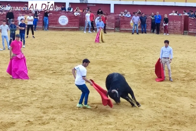 Macotera celebraba este sábado una Capea Popular
