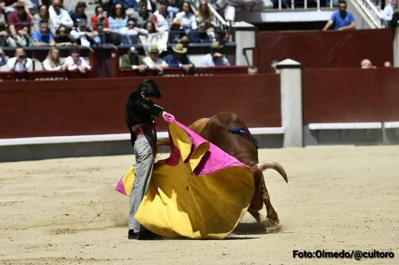 Foto 5 - Triunfo rotundo de Marco P&eacute;rez: 4 orejas y el respeto de Madrid